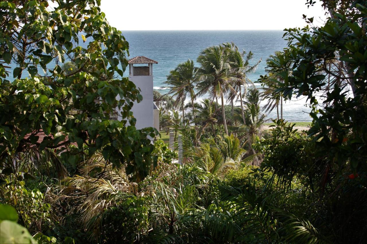 Bed and Breakfast Sky Mountain Cafe With Seaview à Weligama Extérieur photo